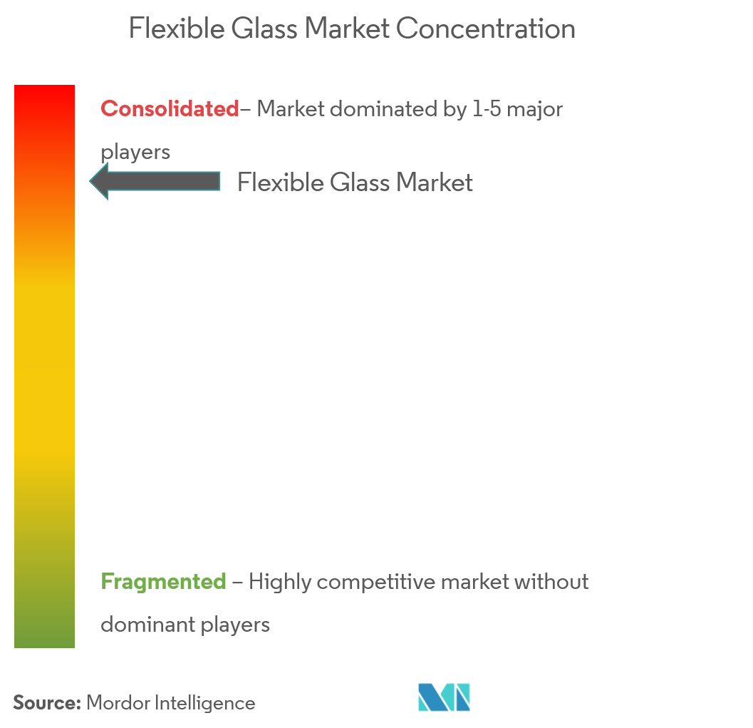 Global Flexible Glass Market - Market Concentration